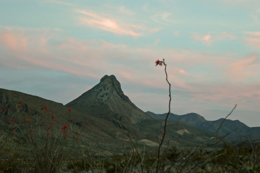 Photo of Others in Alpine