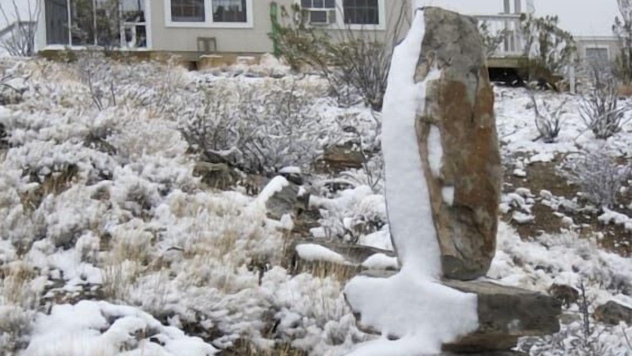Photo of Others in Alpine