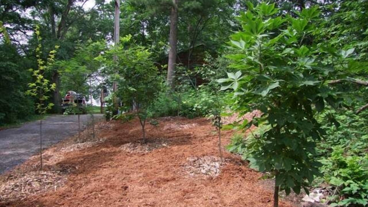 Photo of Outdoor in Hammond