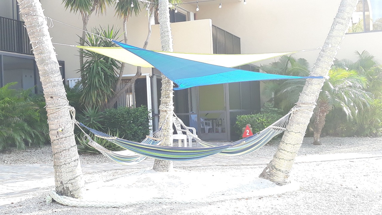 Photo of Others in Key Largo