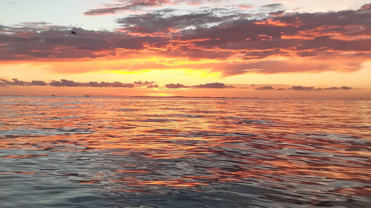Photo of Others in Key Largo