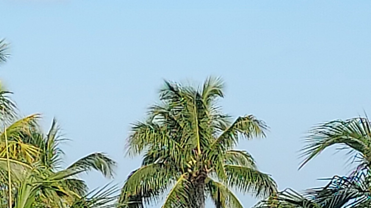Photo of Patio Balcony in Key Largo