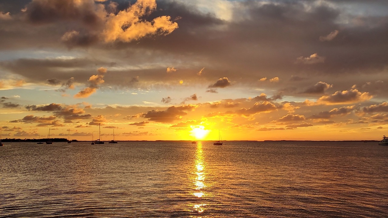 Photo of Outdoor in Key Largo