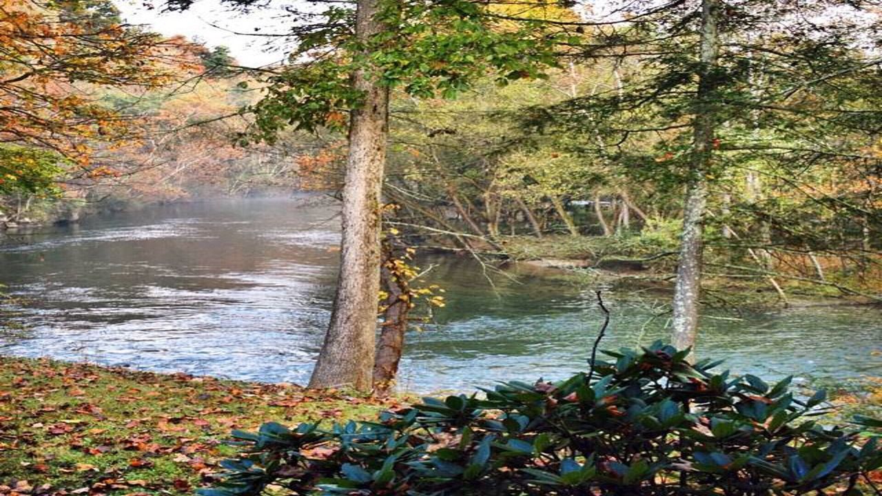 Photo of Outdoor in Johnson City