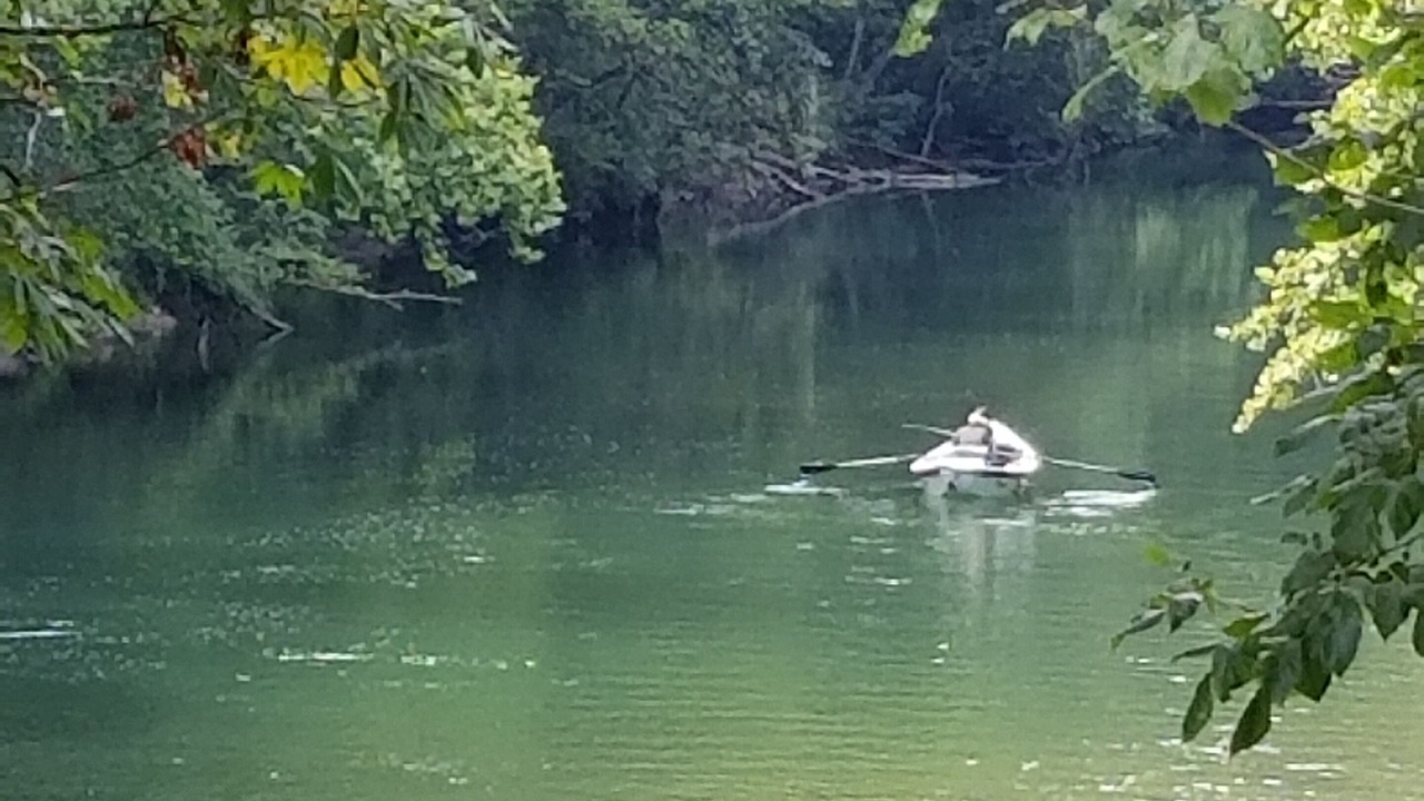 Photo of Others in Johnson City