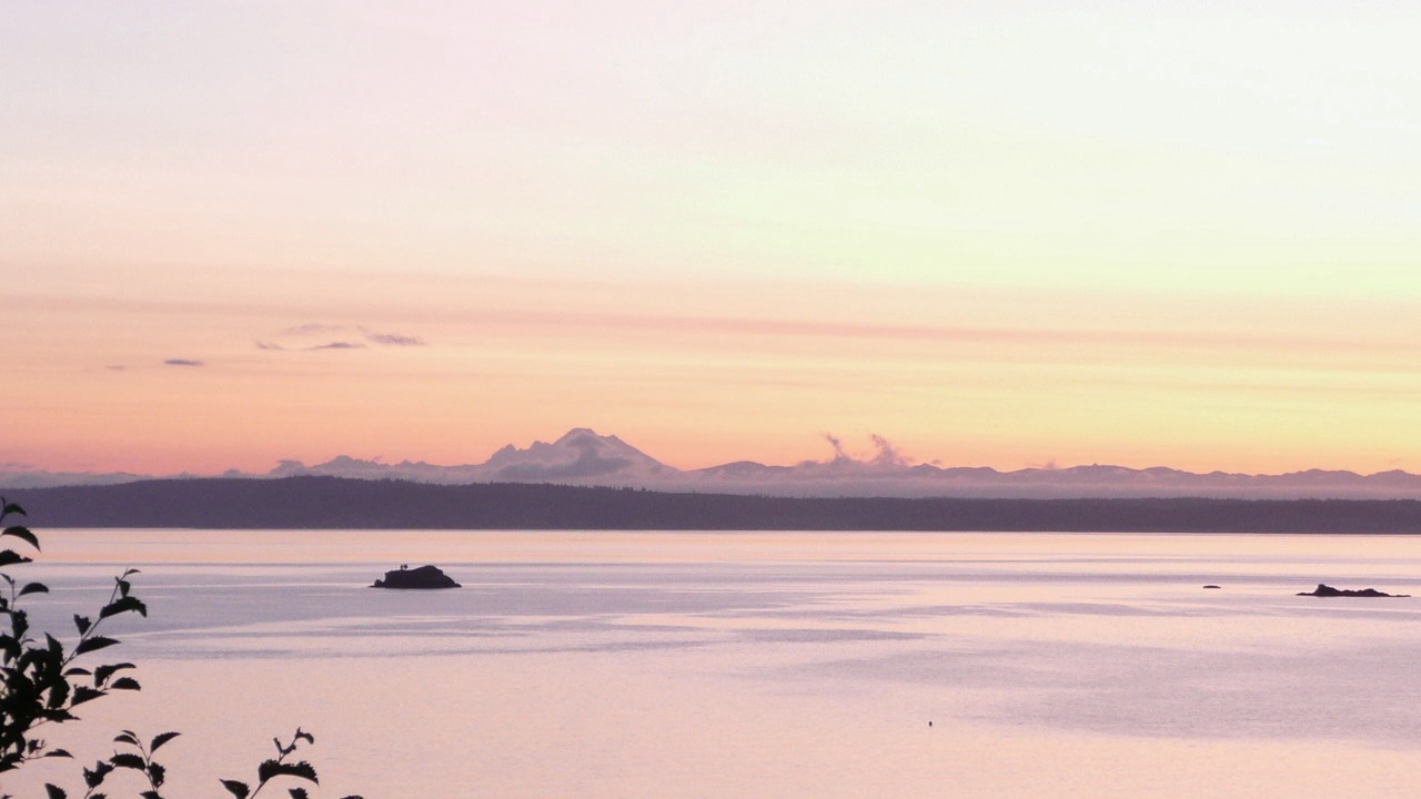 Photo of Others in Port Ludlow