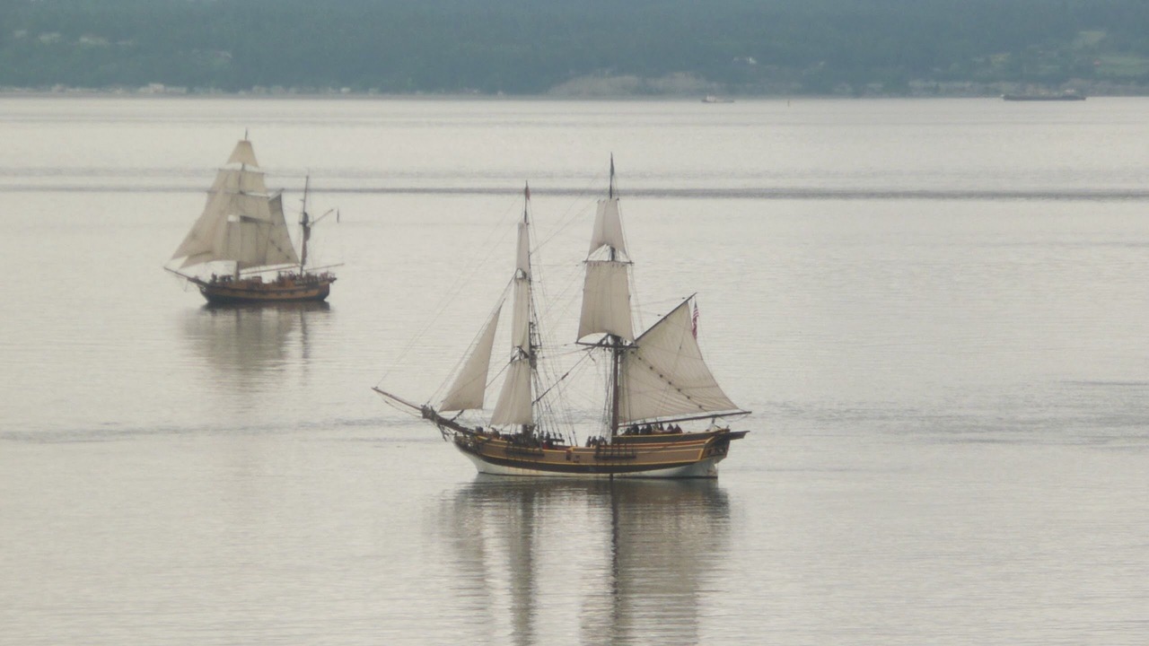 Photo of Others in Port Ludlow