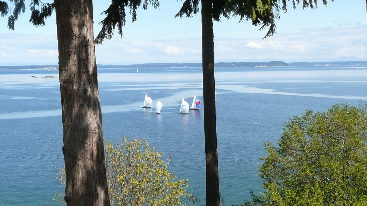 Photo of Others in Port Ludlow