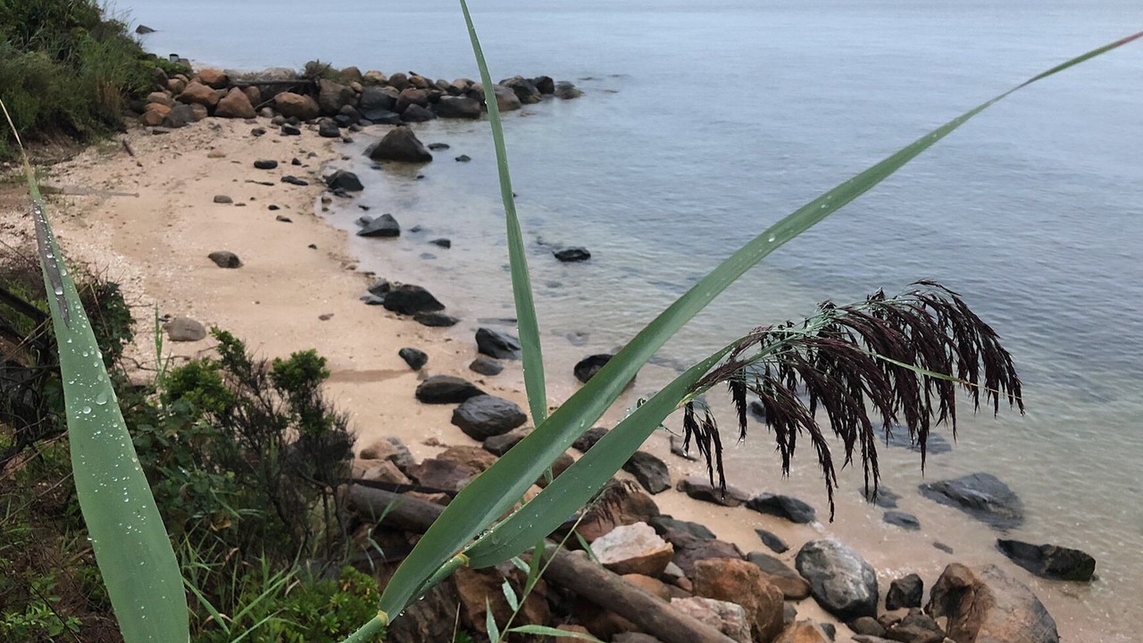 Photo of Others in Greenport West