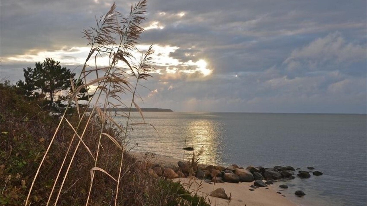 Photo of Others in Greenport West