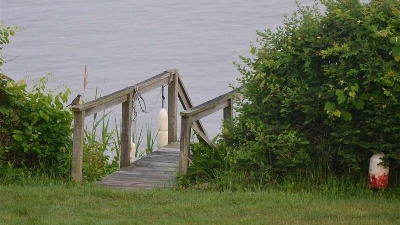 Photo of Outdoor in Greenport West