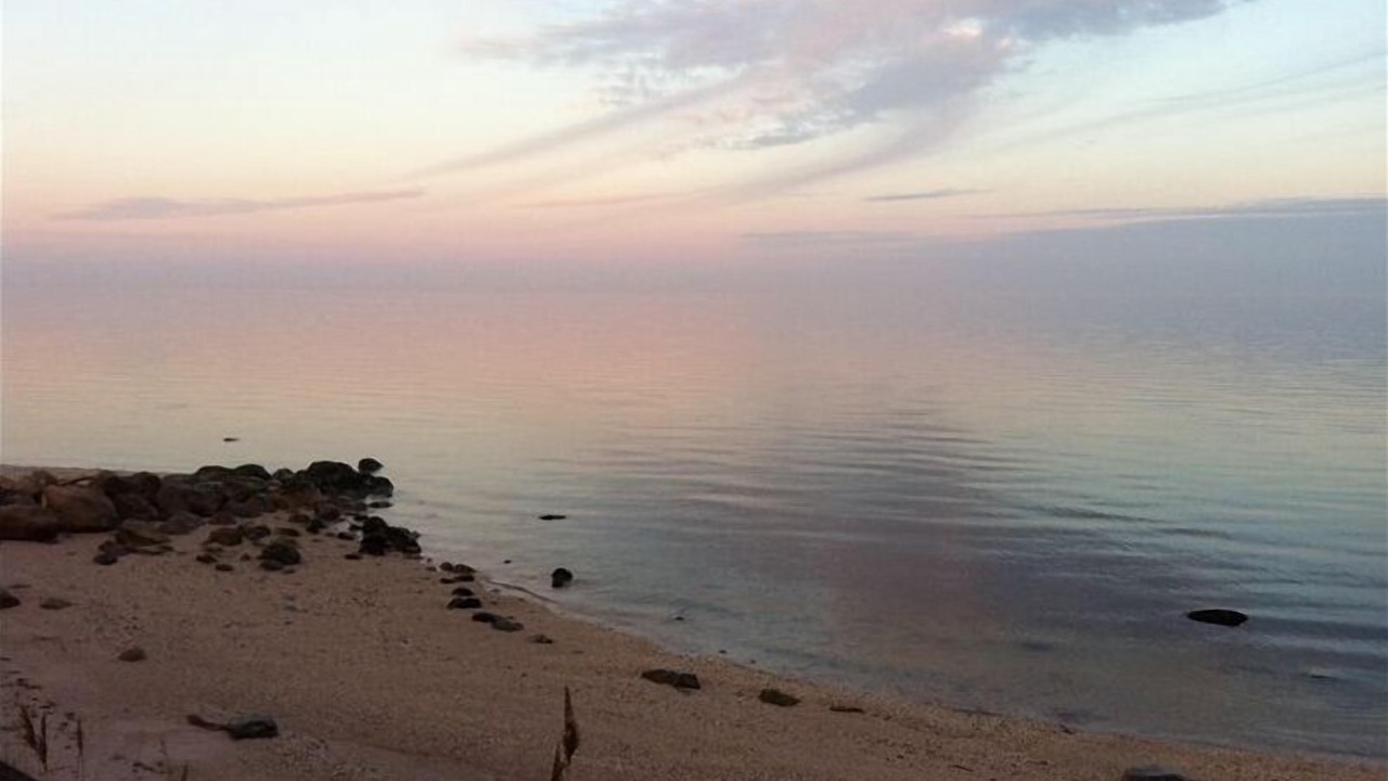 Photo of Others in Greenport West