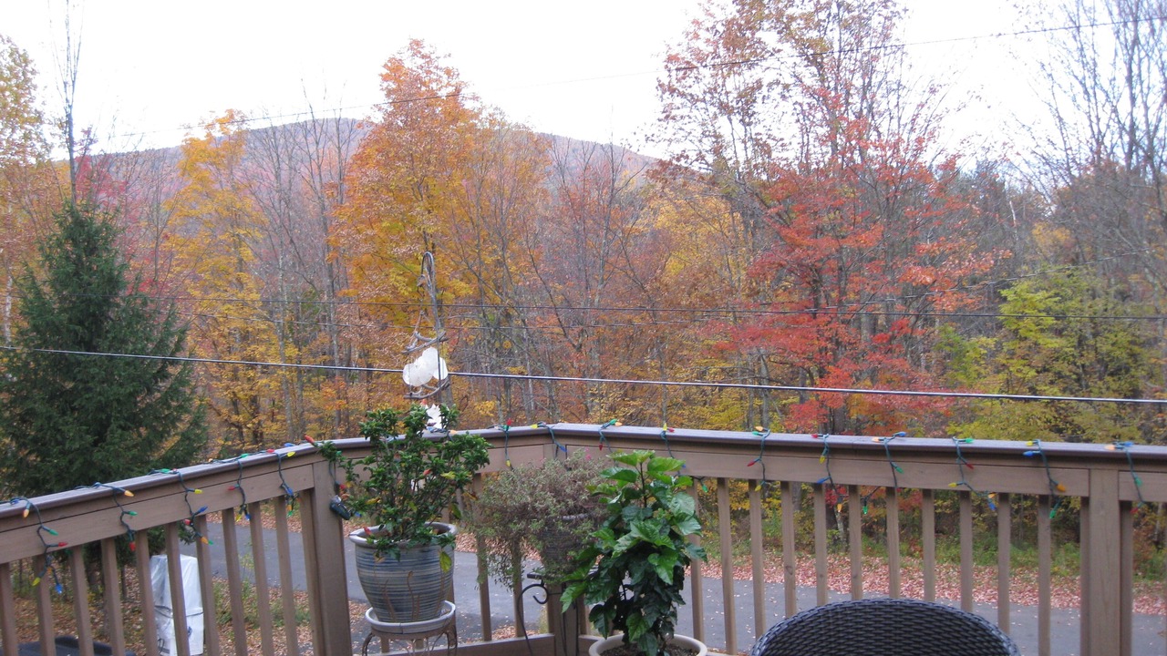 Photo of Outdoor in Hensonville