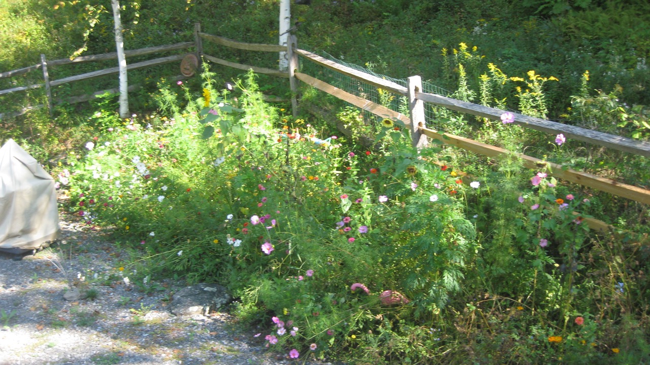 Photo of Outdoor in Hensonville