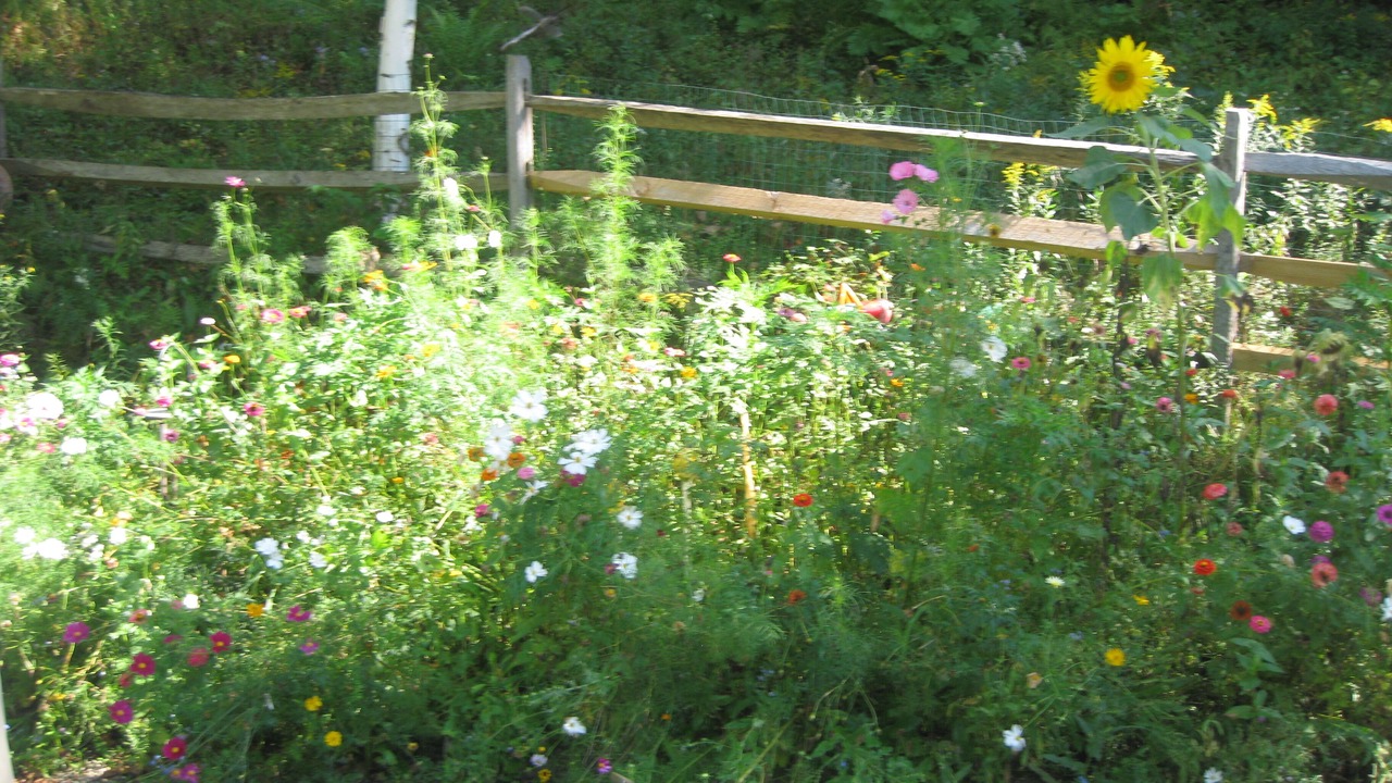 Photo of Outdoor in Hensonville