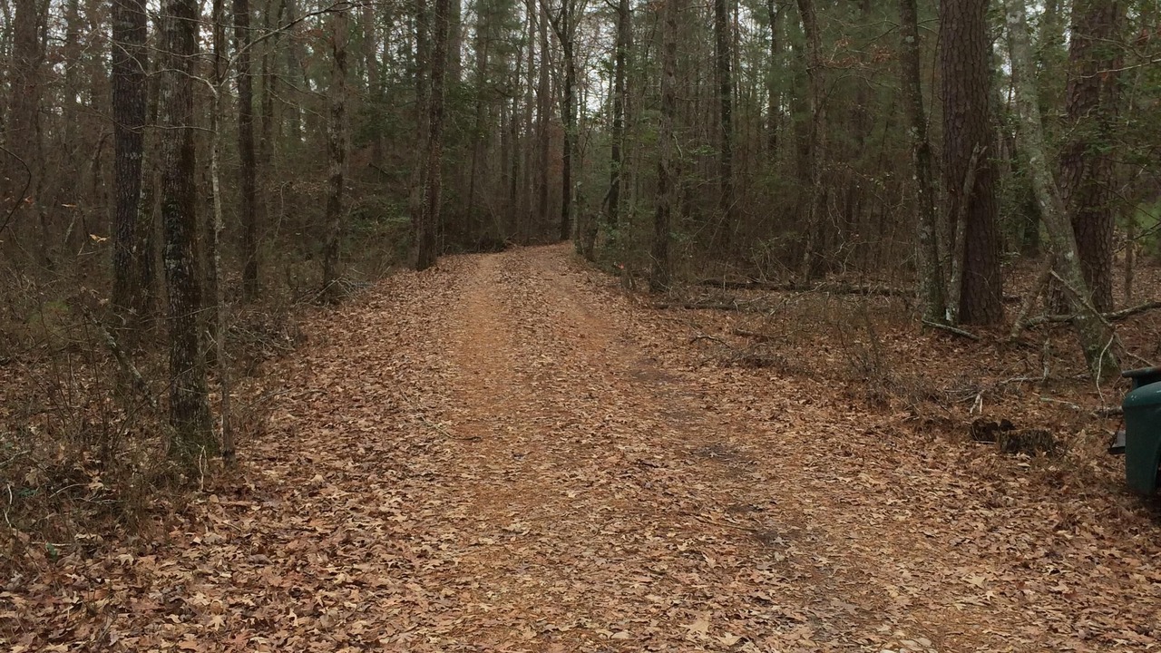 Photo of Outdoor in Murfreesboro