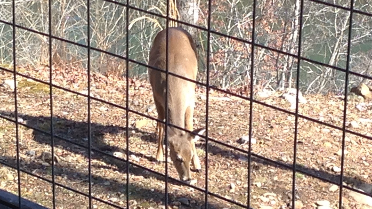 Photo of Outdoor in Murfreesboro