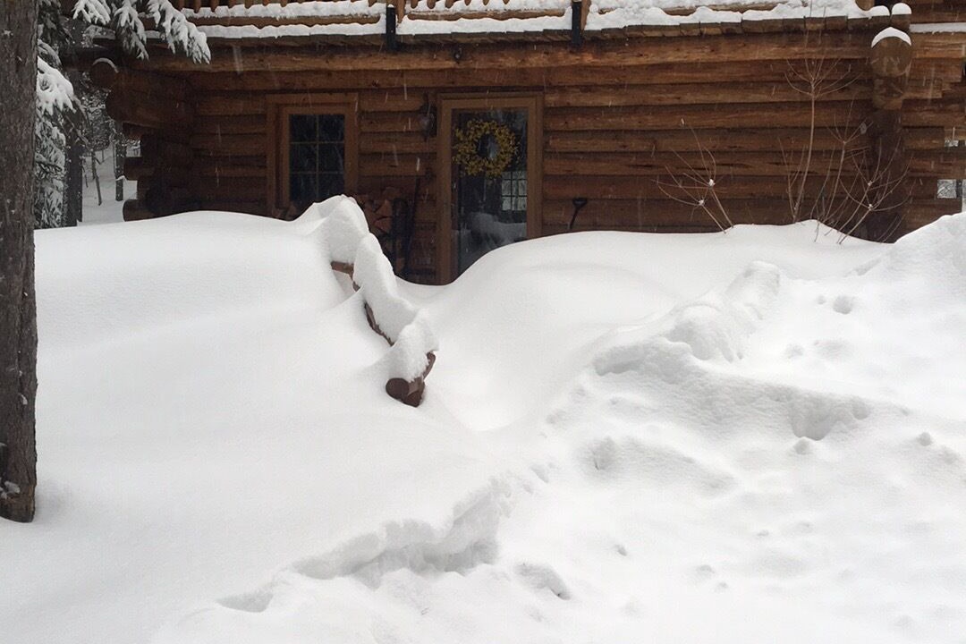 Photo of Others in West Glacier