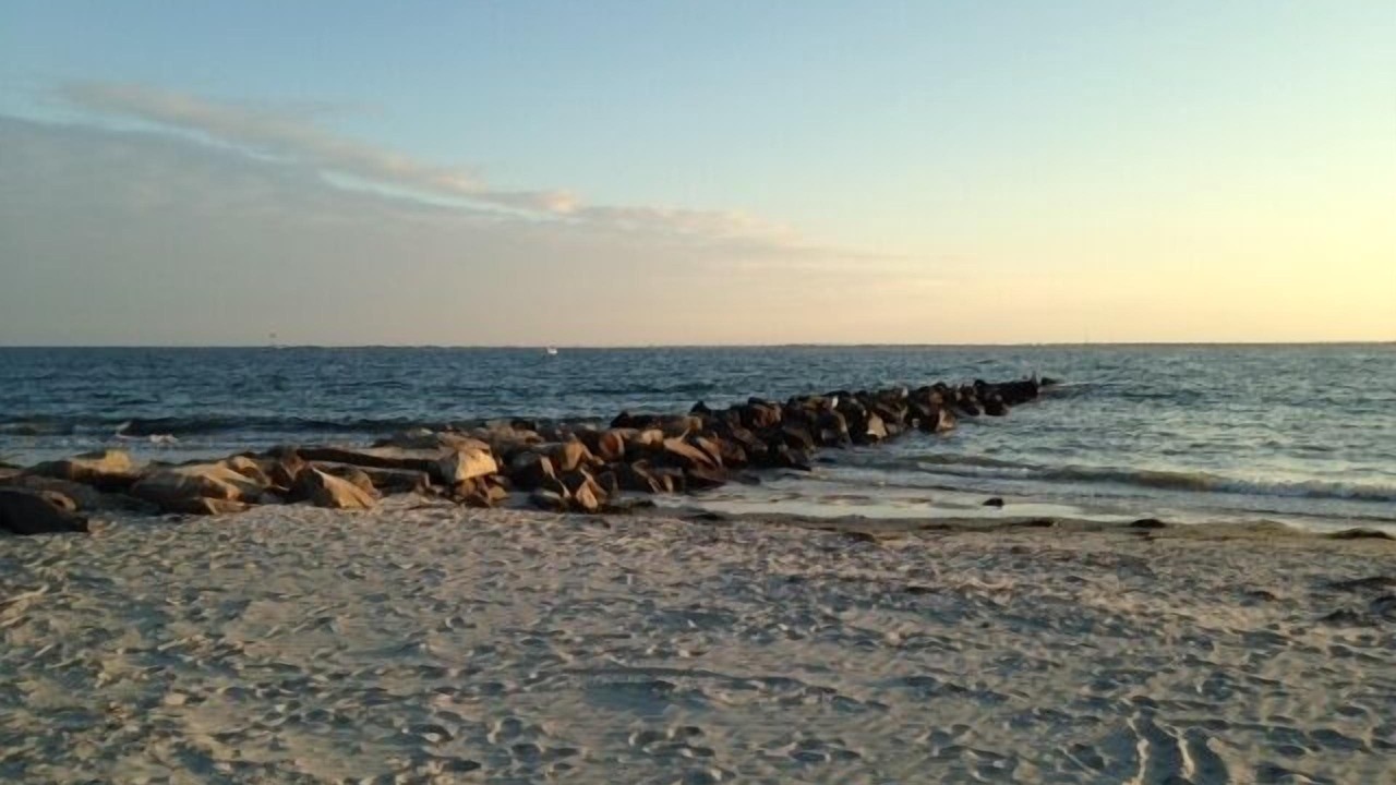 Photo of Others in Point Judith