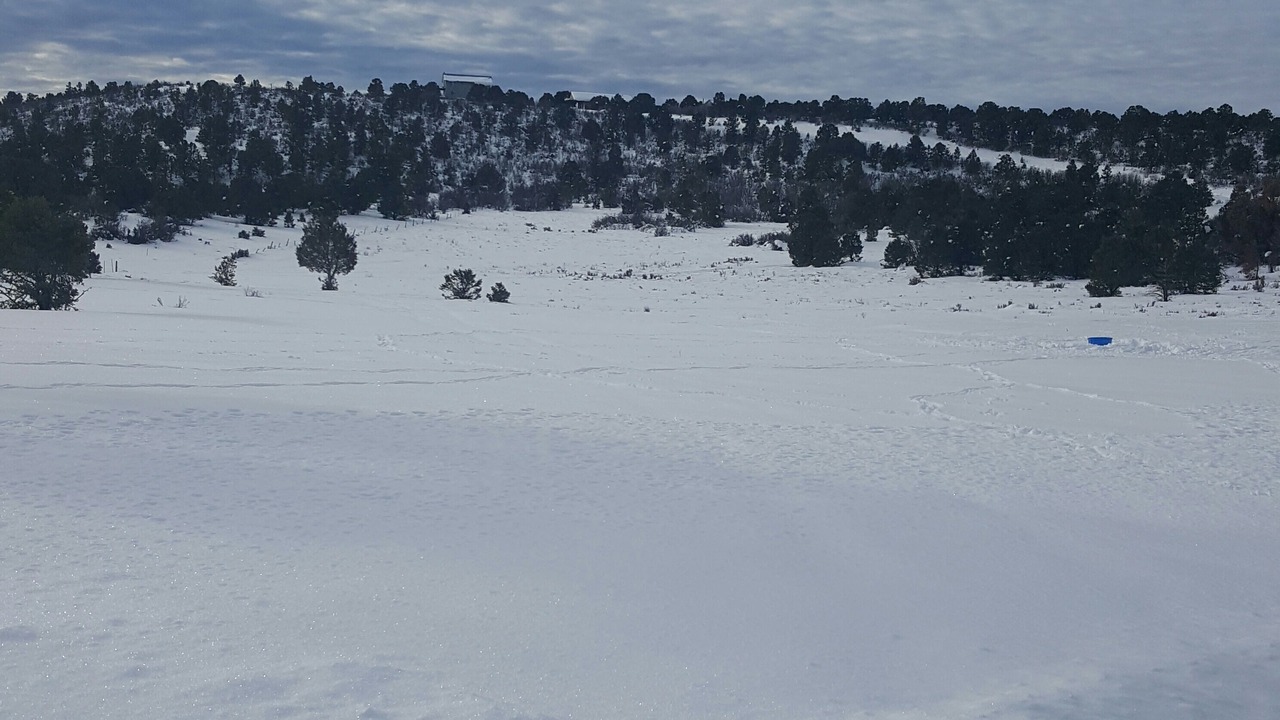 Photo of Others in Lewis