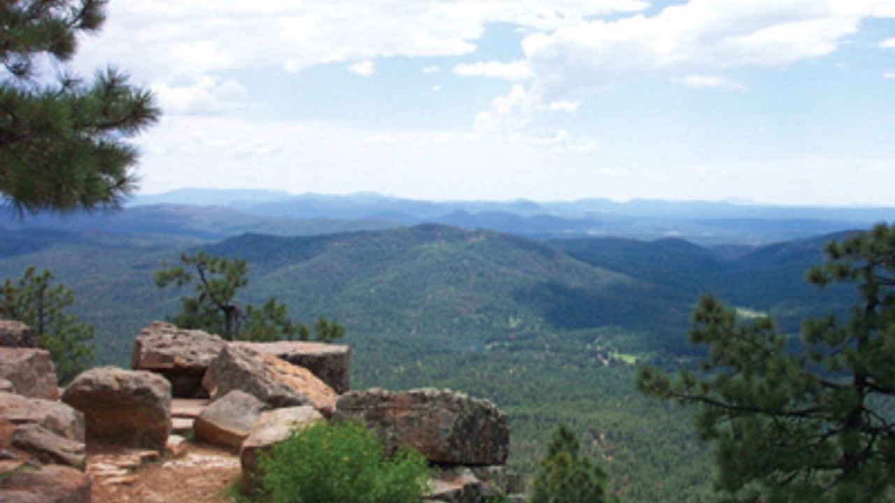 Photo of Others in Pinetop