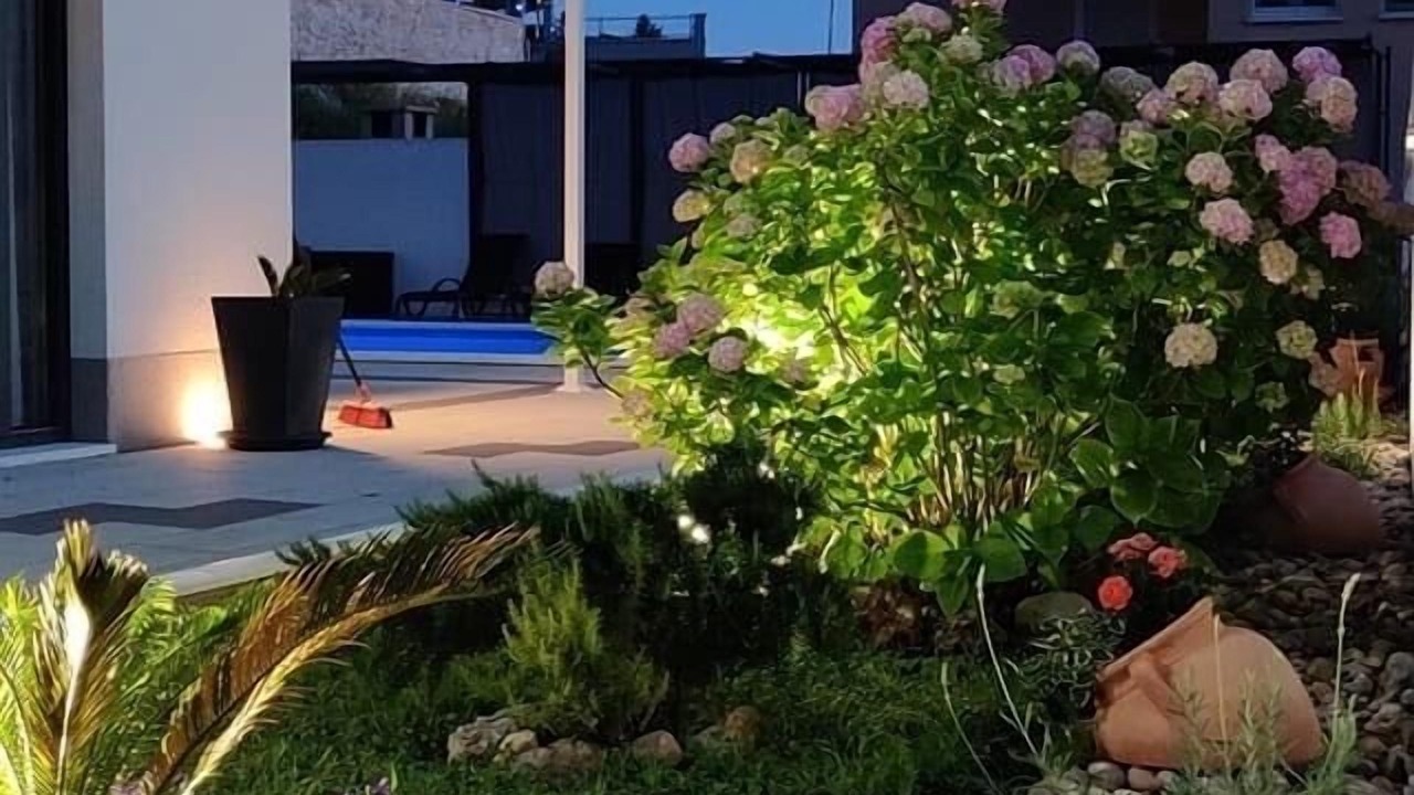 Photo of Outdoor in Bast