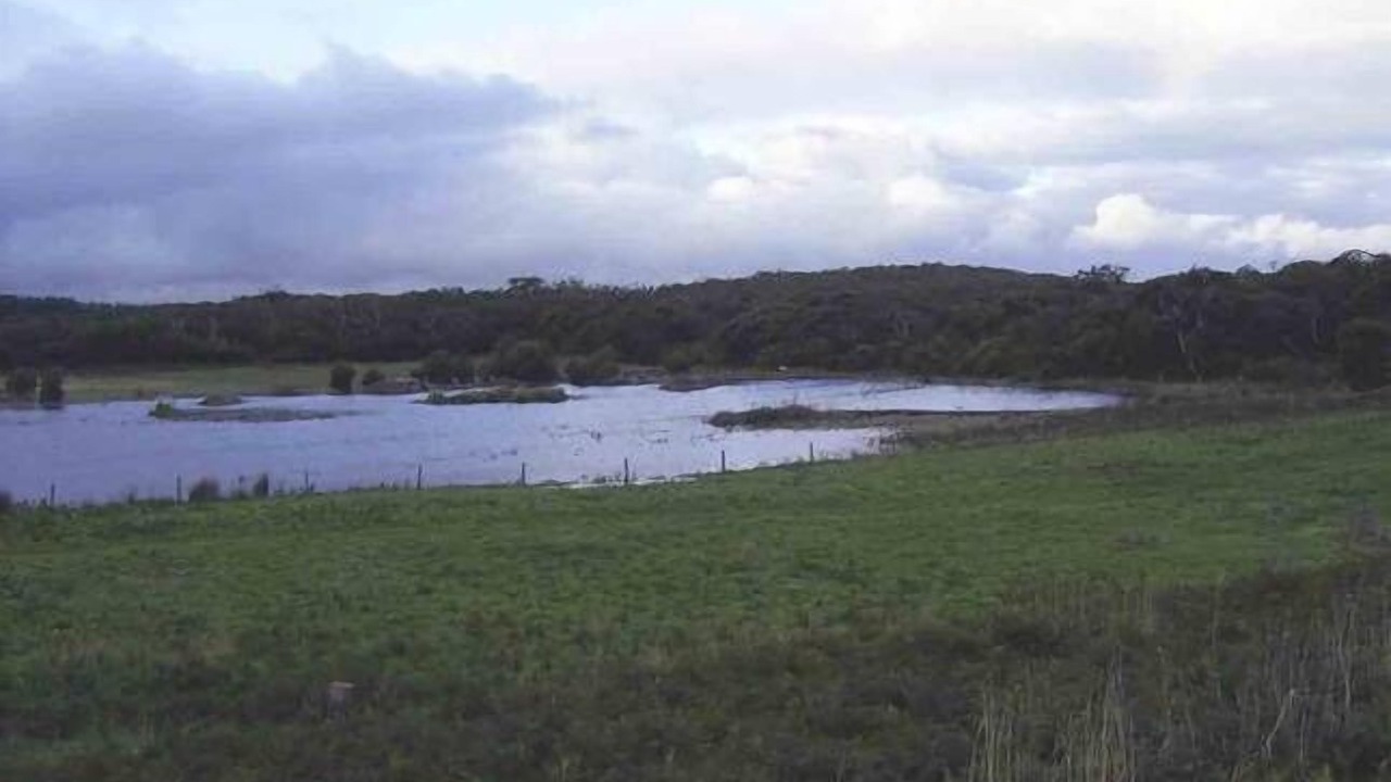 Photo of Others in Portland West