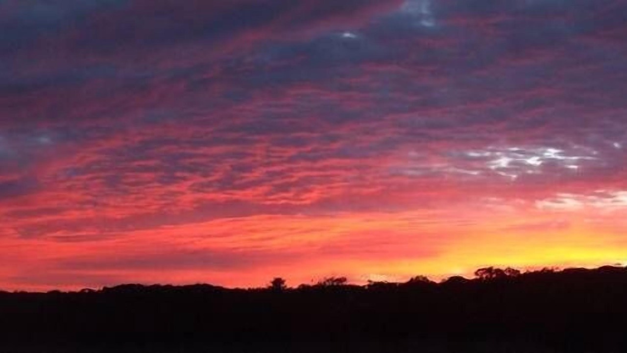 Photo of Others in Portland West