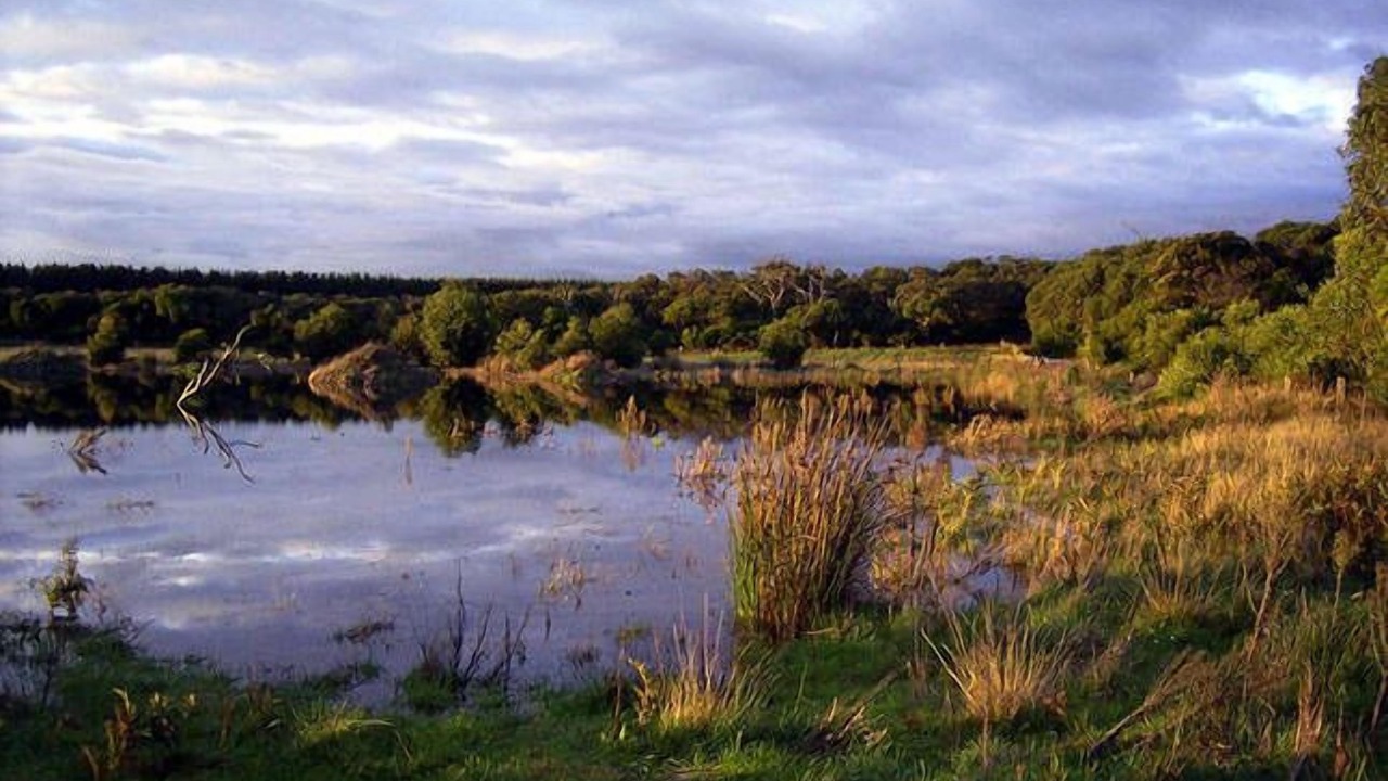 Photo of Others in Portland West