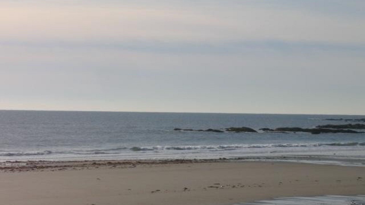 Photo of Others in Biddeford