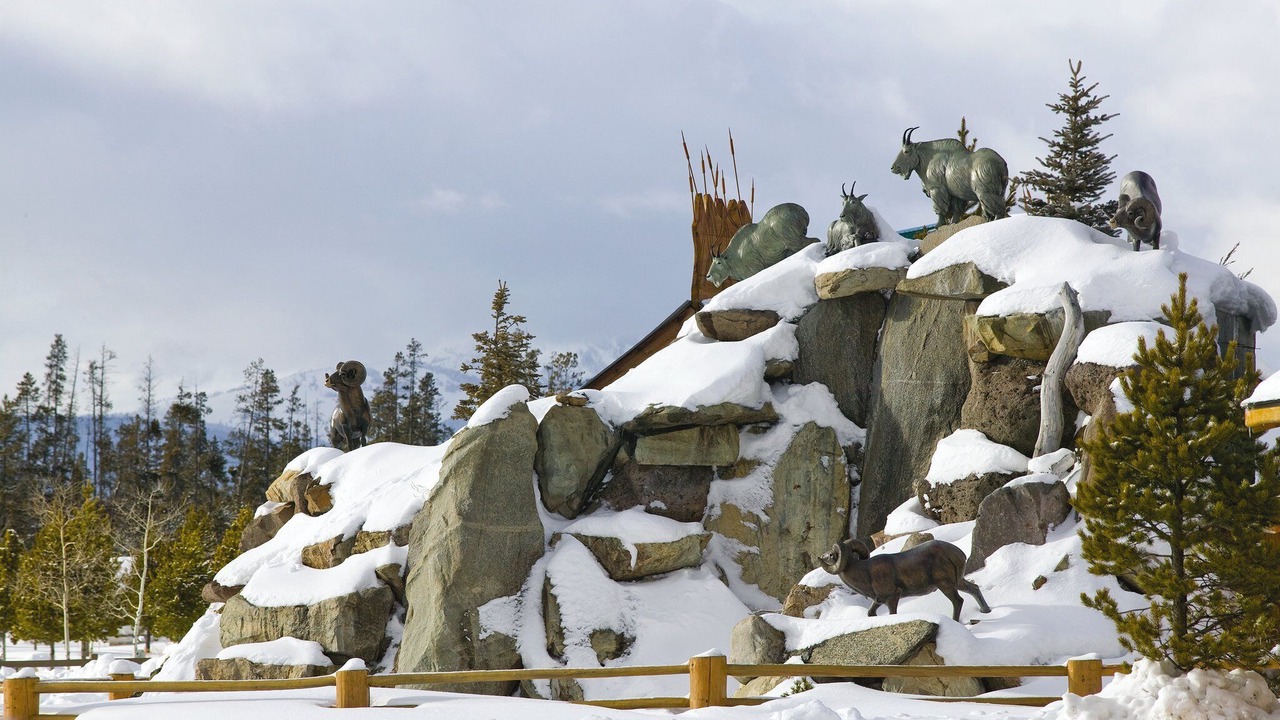 Photo of Outdoor in West Yellowstone