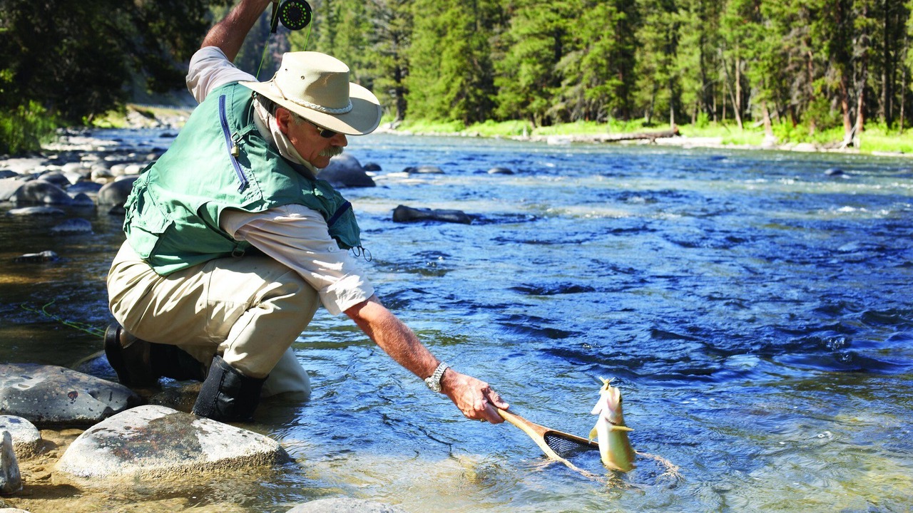 Photo of Others in West Yellowstone