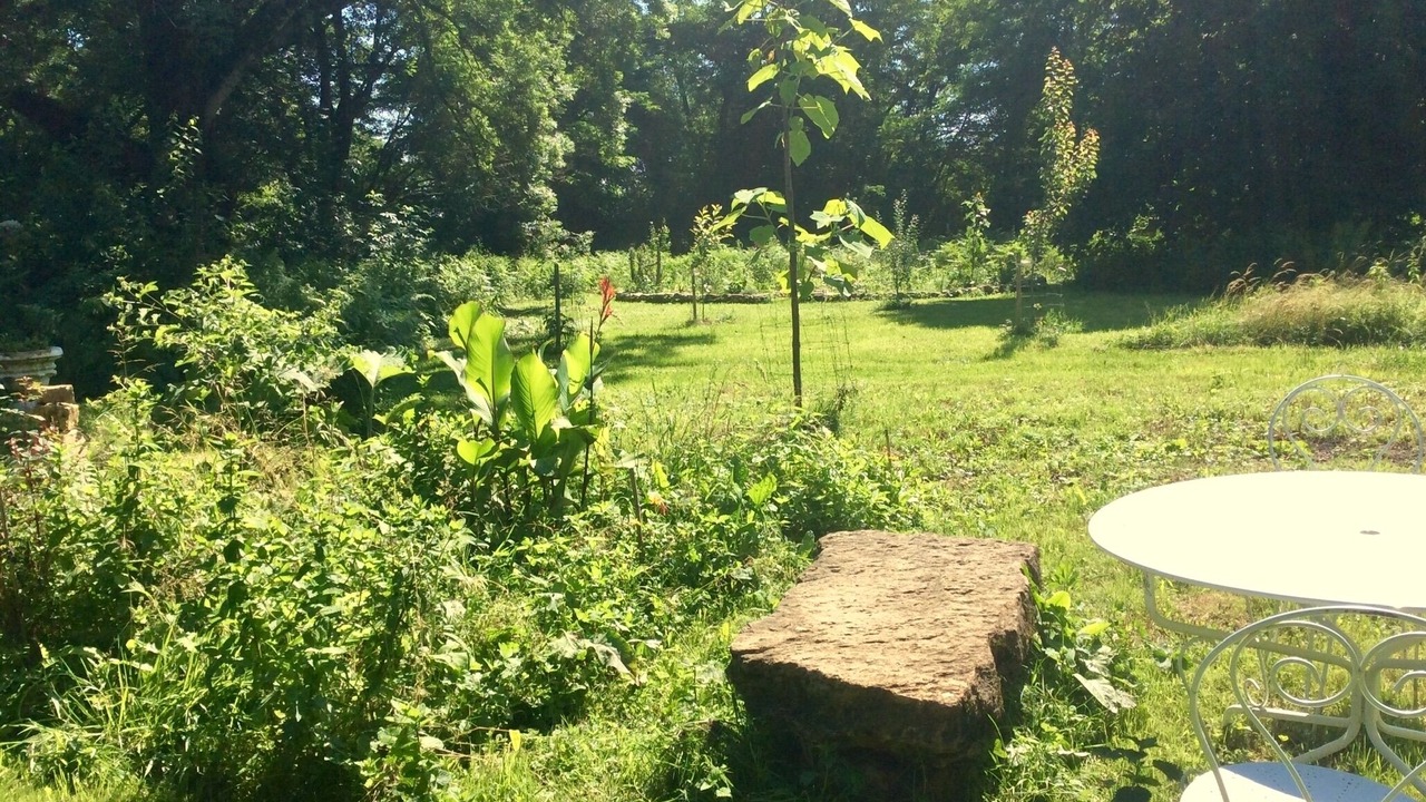 Photo of Outdoor in Castelnau-Durban
