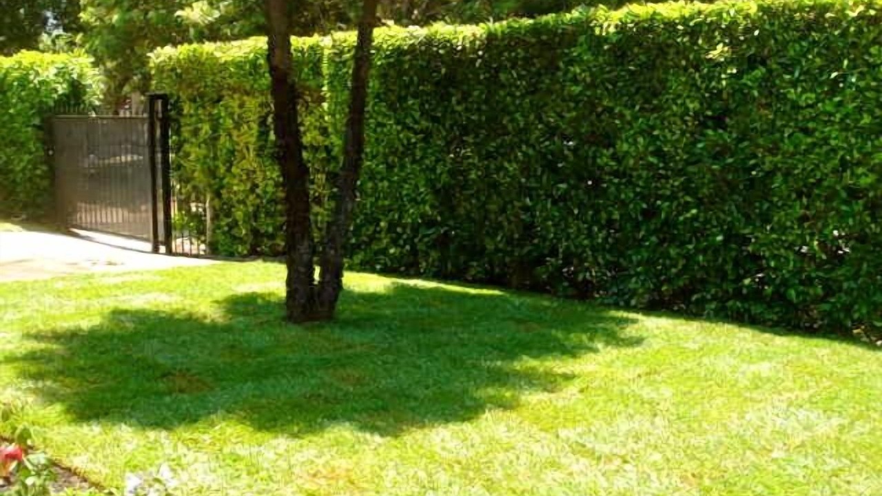 Photo of Outdoor in Hollywood