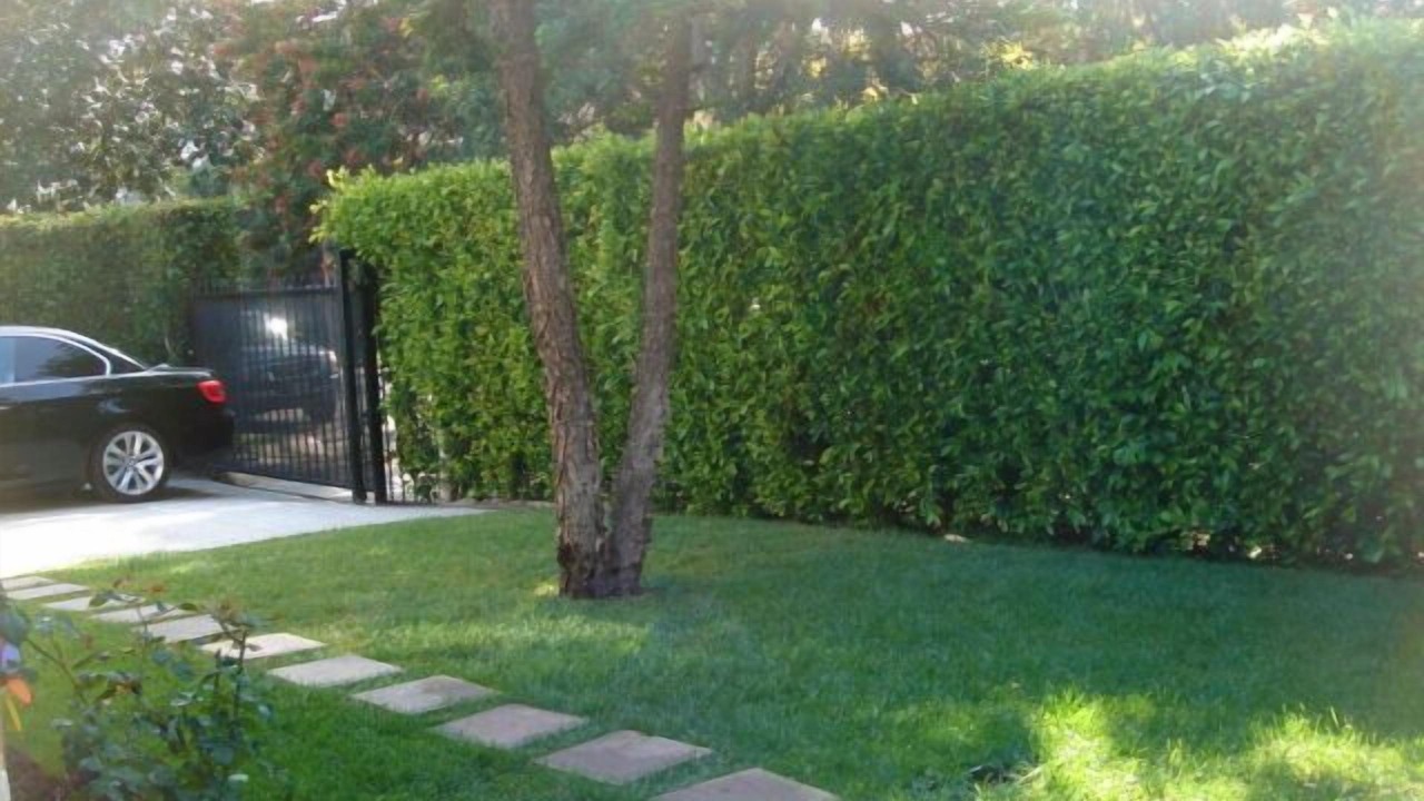 Photo of Others in Hollywood