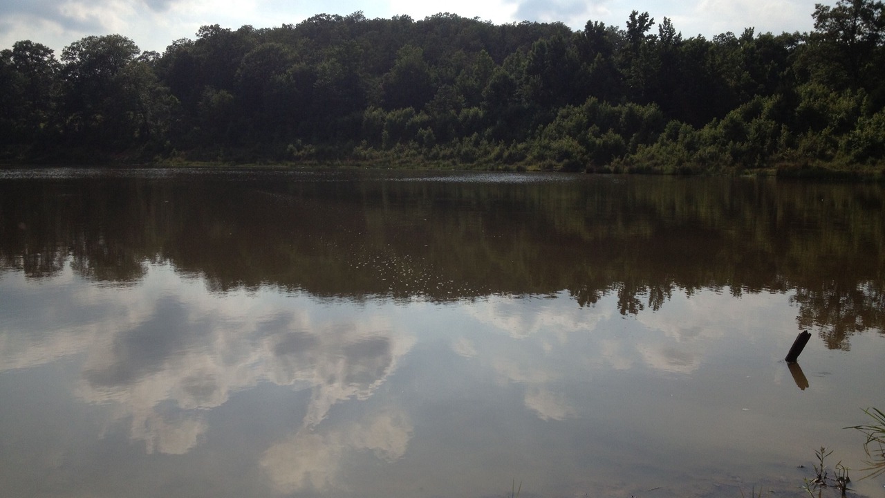 Photo of Outdoor in Ozark