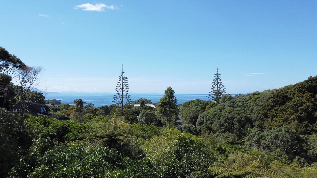 Photo of Others in Leigh