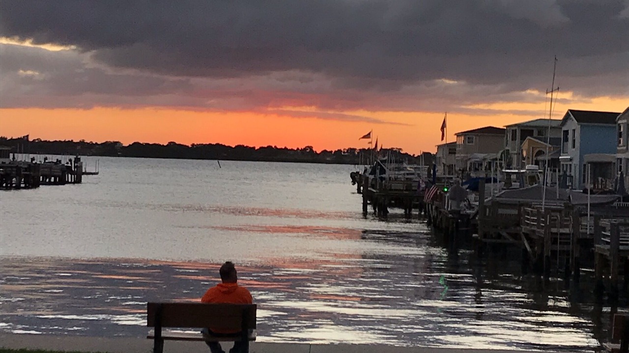 Photo of Others in Nettles Island