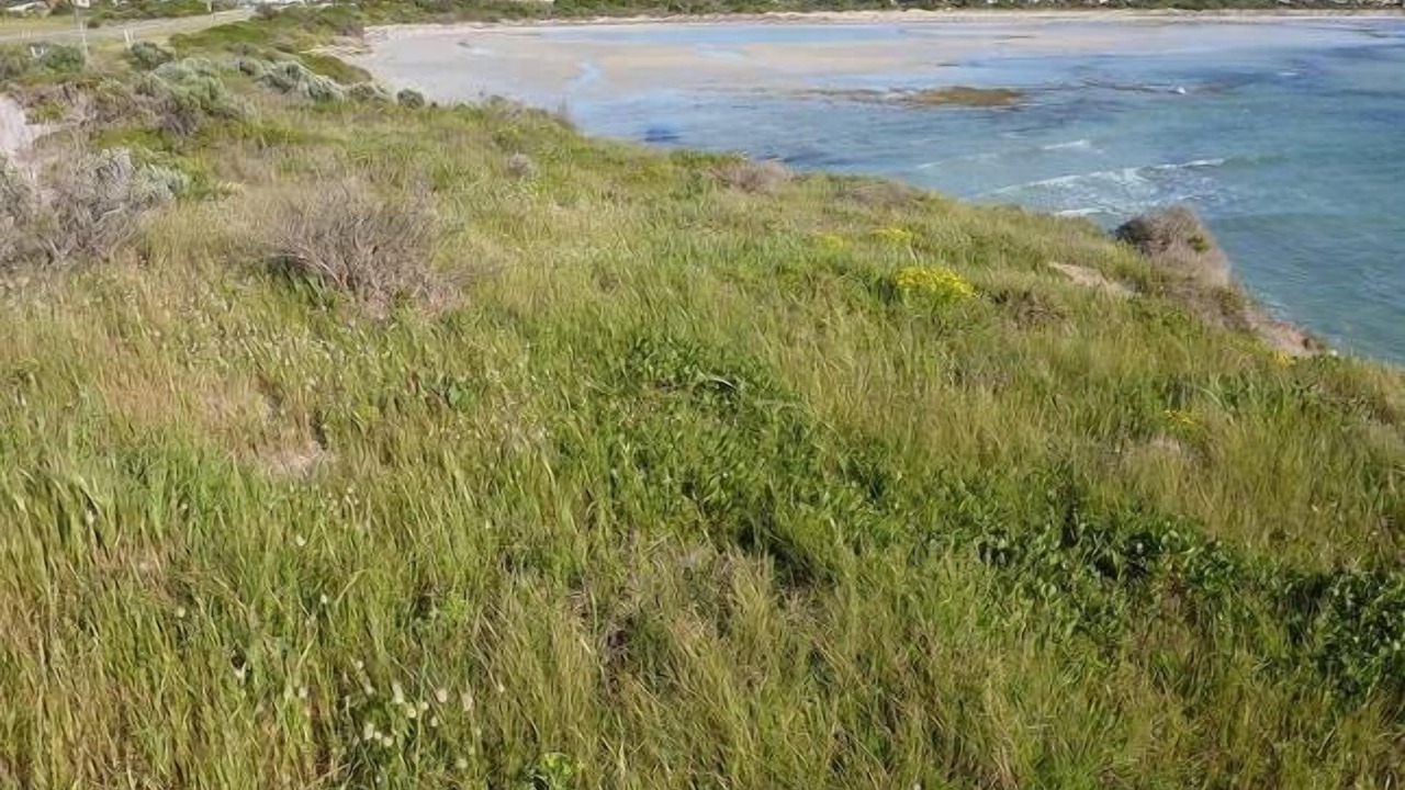 Photo of Others in Marion Bay