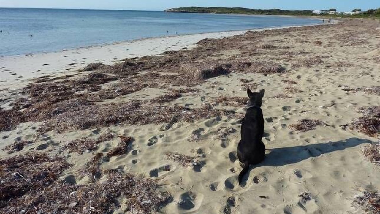 Photo of Others in Marion Bay