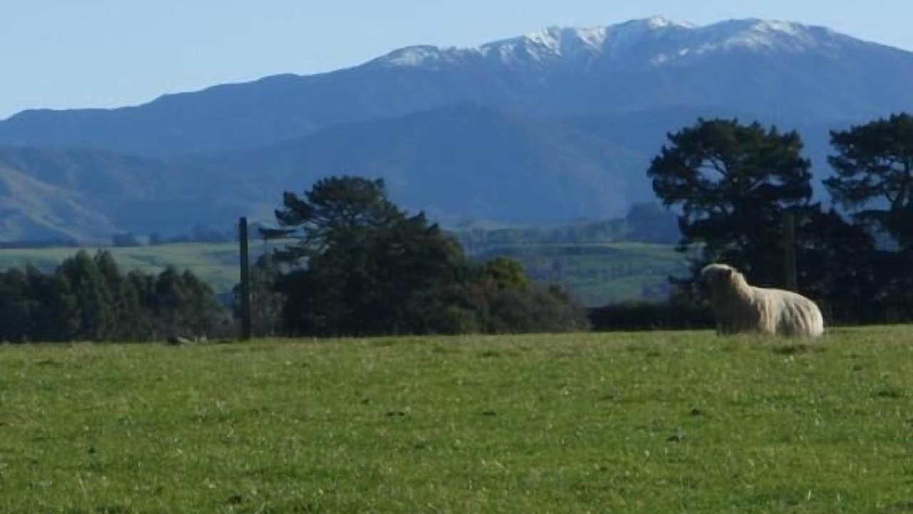 Photo of Others in Opaki