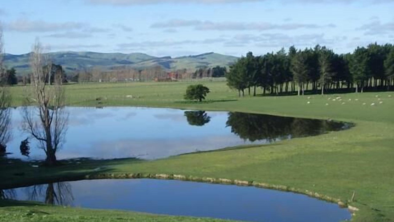 Photo of Others in Opaki