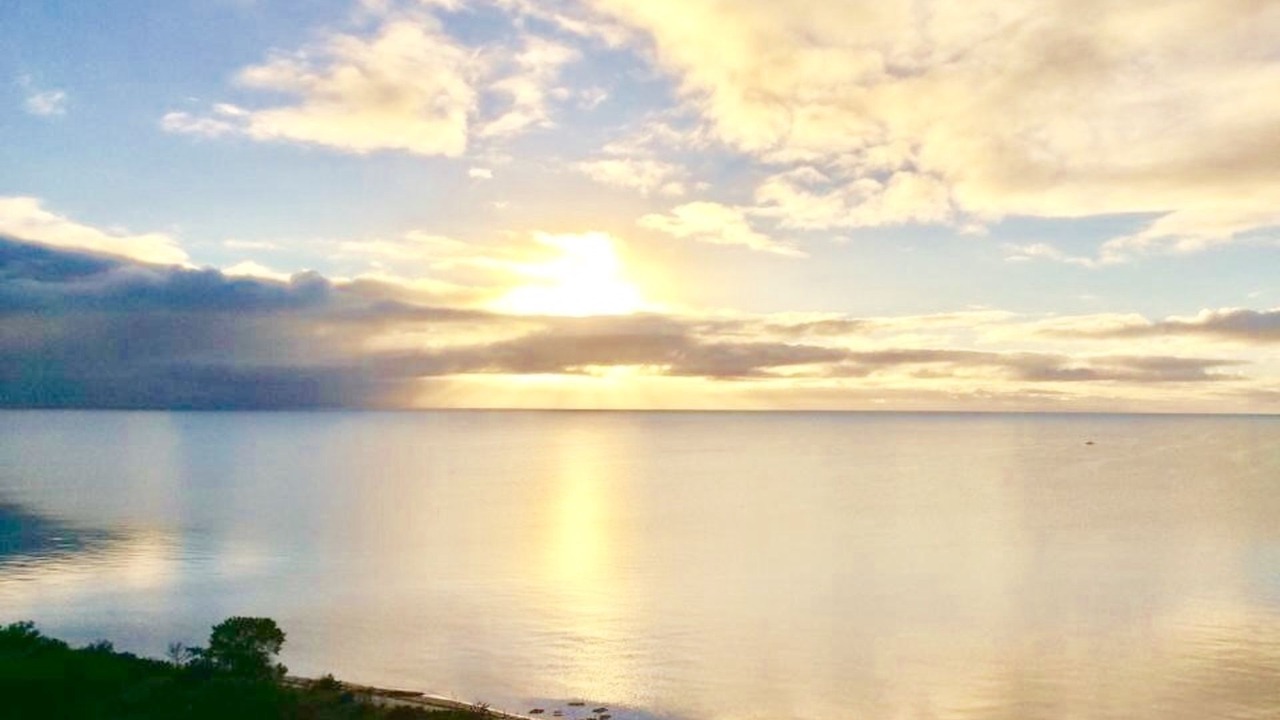 Photo of Others in Muloowurtie