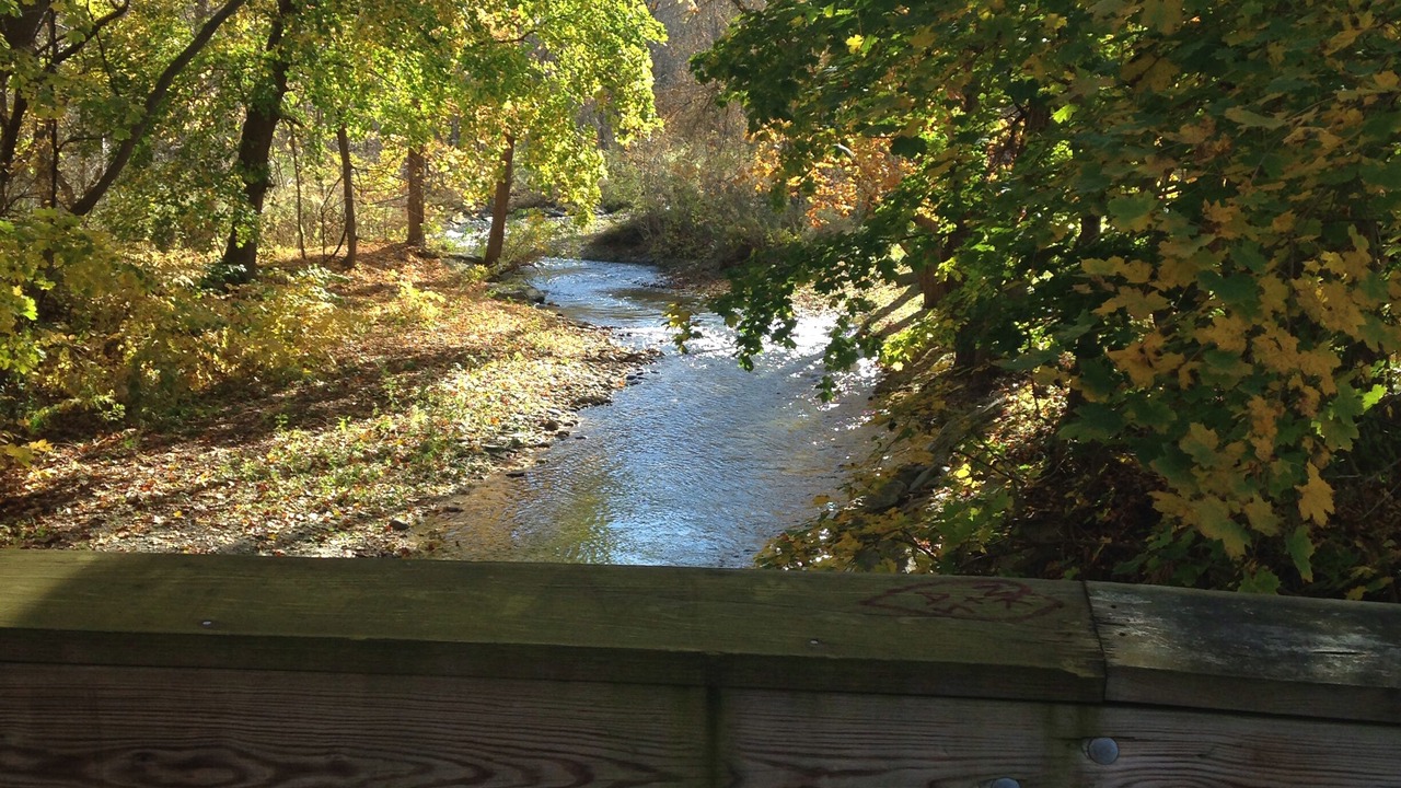 Photo of Others in Canandaigua