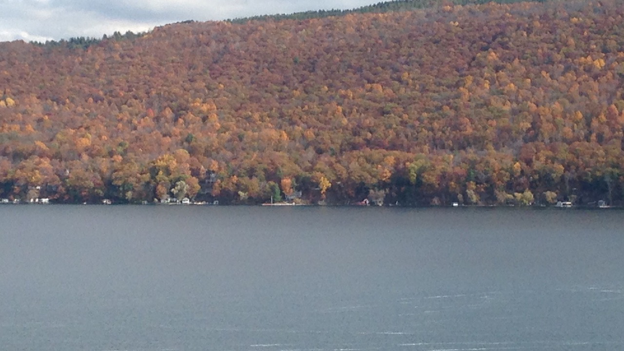 Photo of Bedroom in Canandaigua