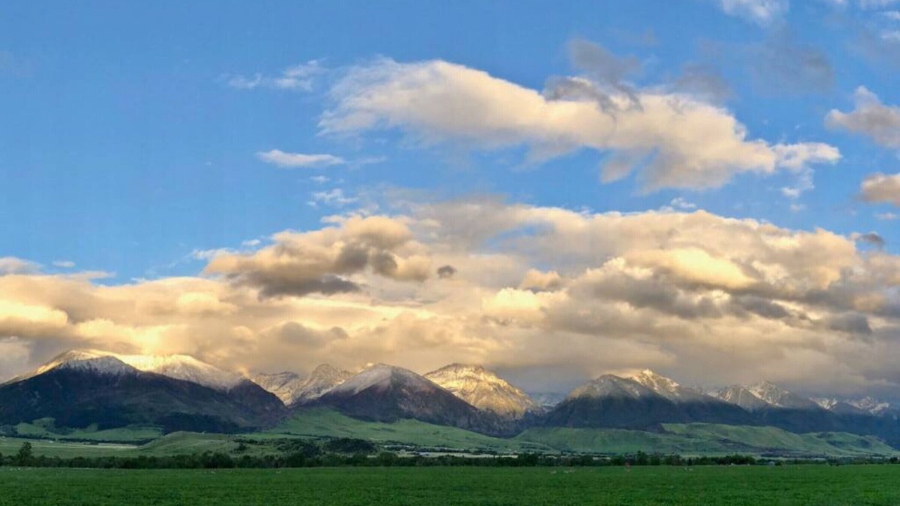 Photo of Others in Emigrant