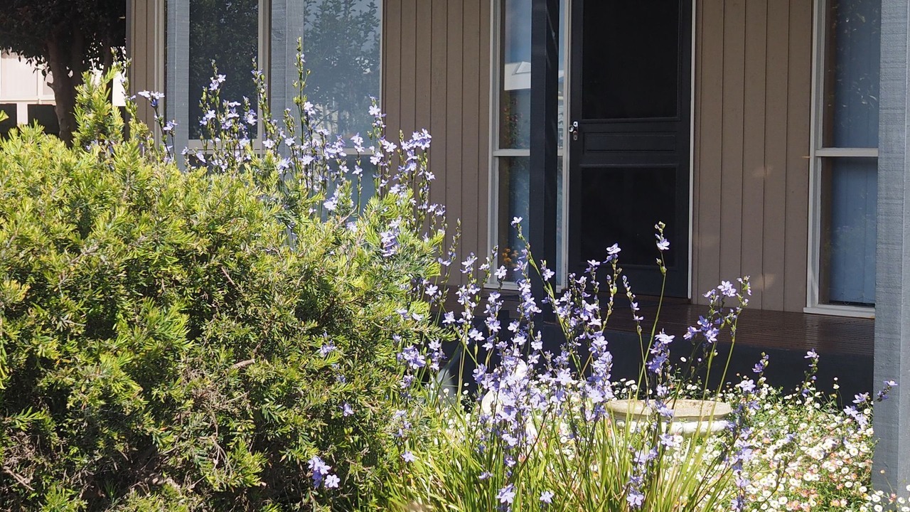 Photo of Others in Apollo Bay