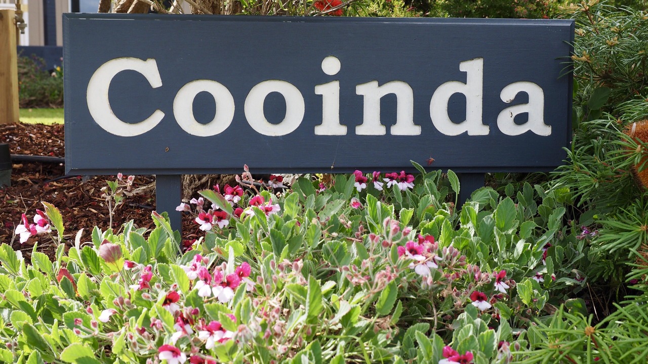 Photo of Others in Apollo Bay