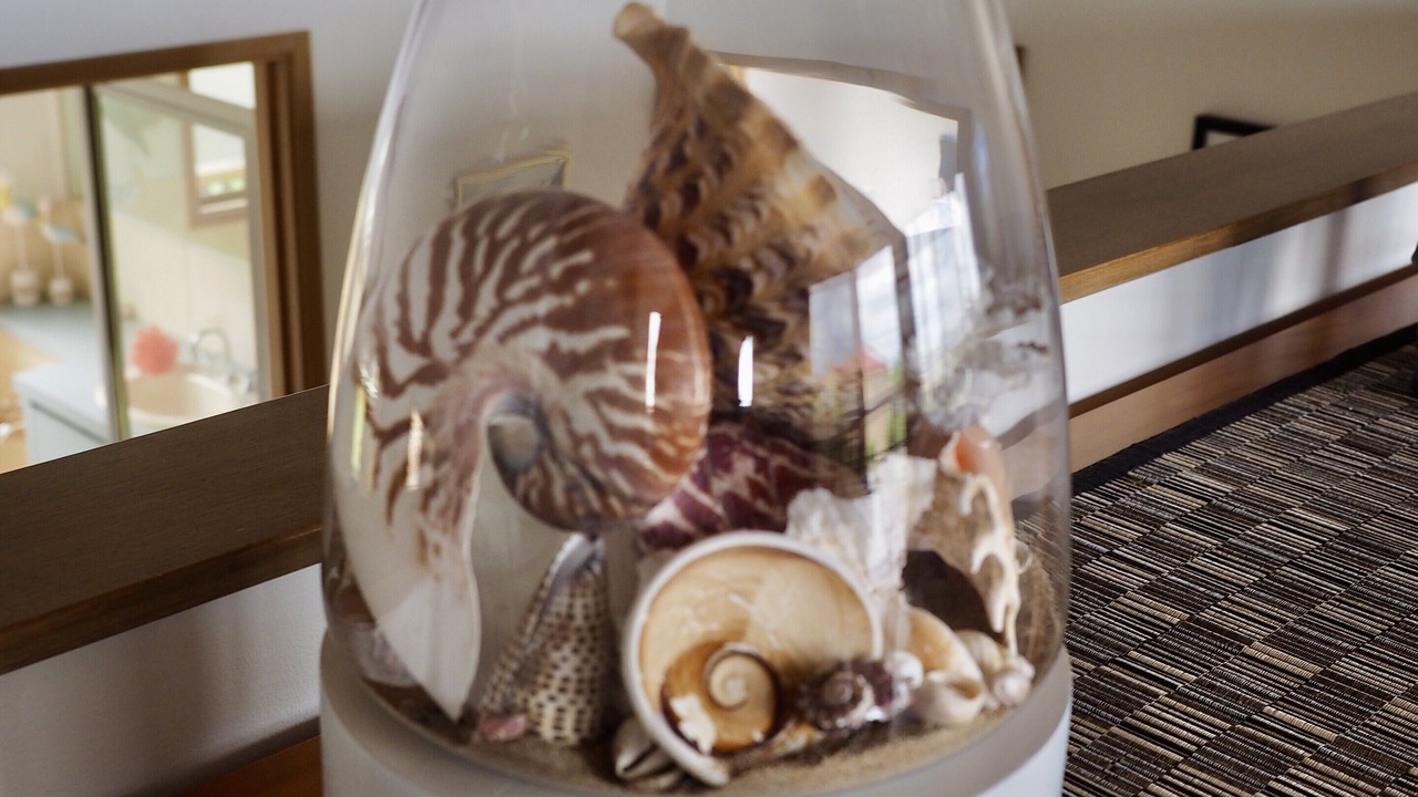 Photo of Others in Apollo Bay