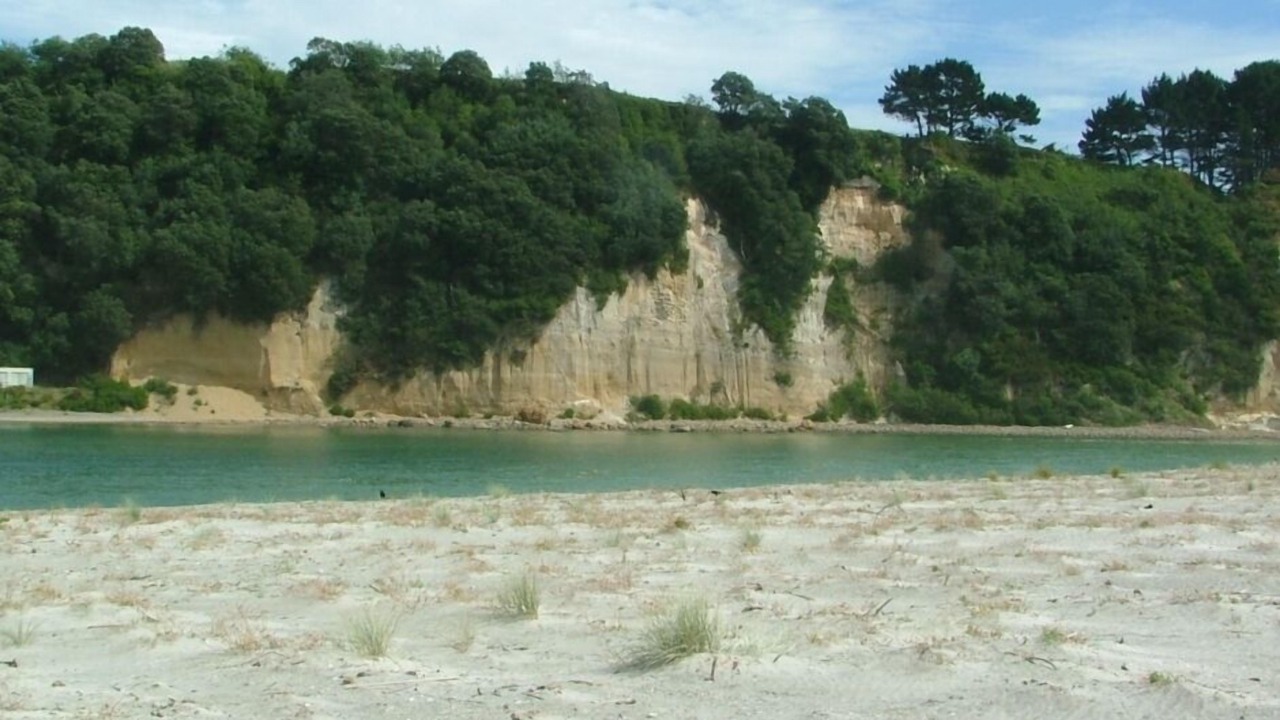 Photo of Others in Pukehina